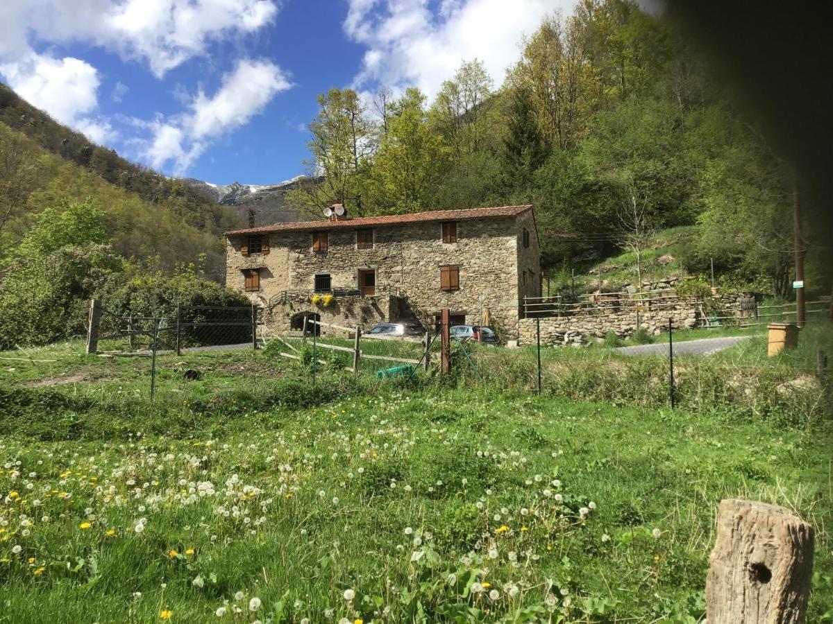 Mas Graffouil Prats-de-Mollo-la-Preste